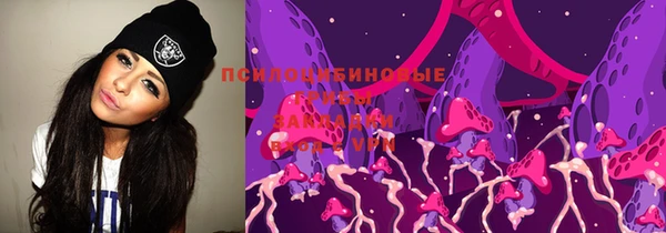 стаф Козловка