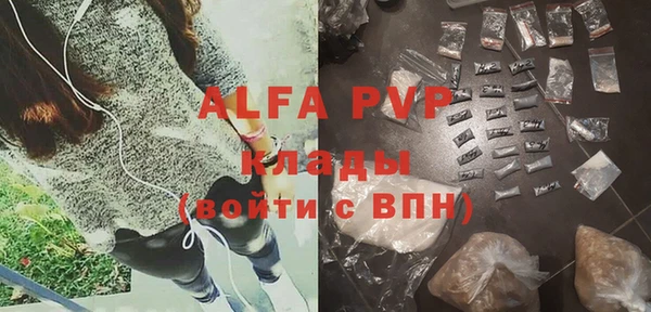 стаф Козловка