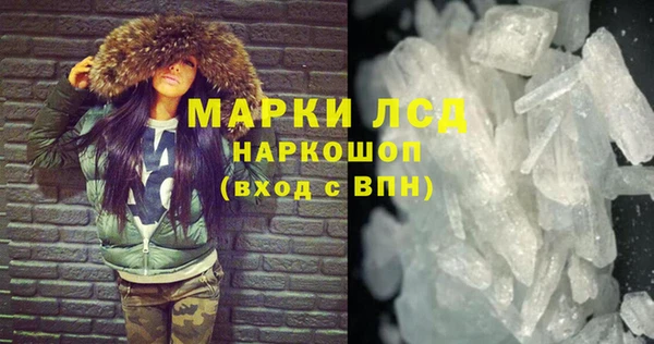 стаф Козловка
