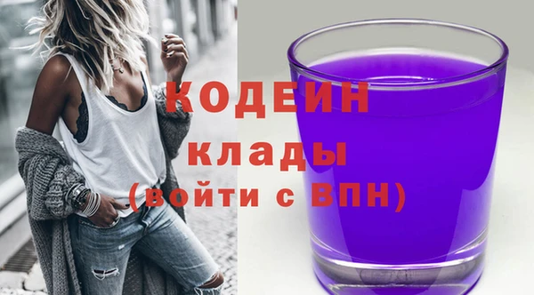 стаф Козловка