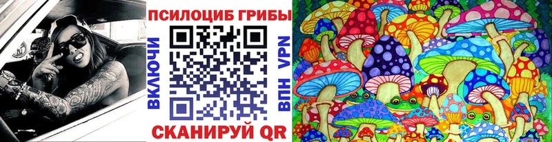 Псилоцибиновые грибы Magic Shrooms  сколько стоит  Котовск 