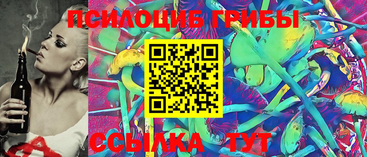 Котовск  Галлюциногенные грибы Magic Shrooms  Галлюциногенные грибы прущие грибы  Вход с VPN 
